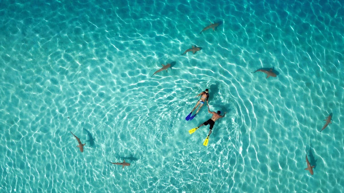 Ganadores Dronestagram 2015
