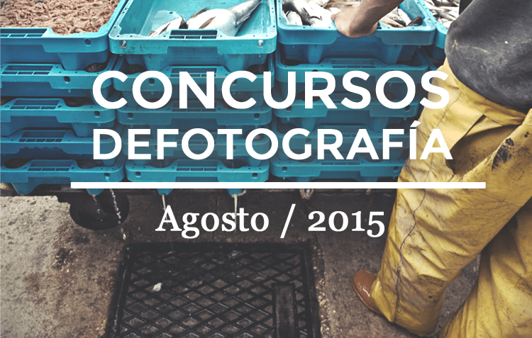 Los mejores concursos de fotografía de Agosto 2015