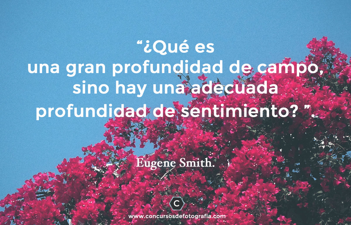 frasesfoto11