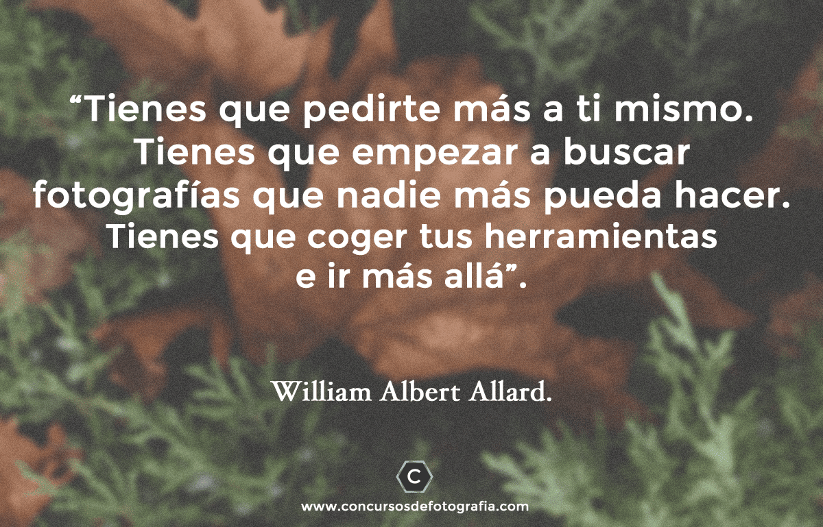 15 Frases de foto