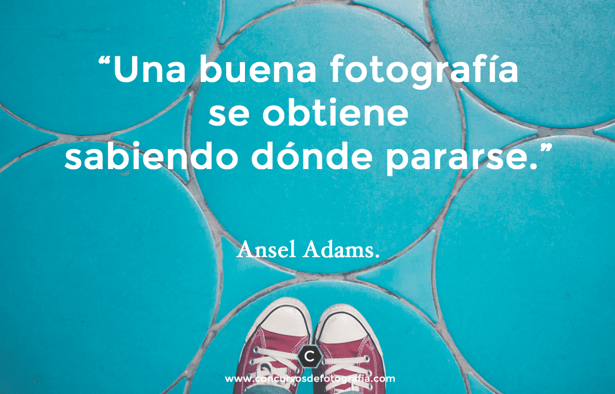 15 Frases de foto