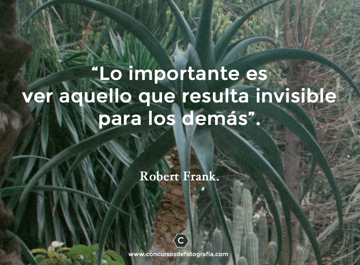 frasesfoto8