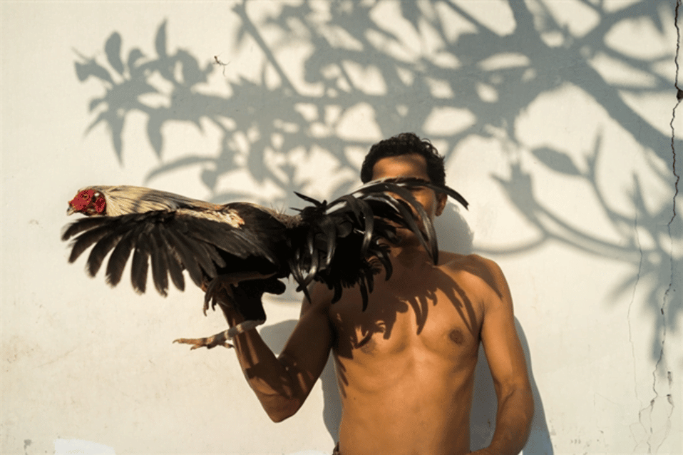 Sony World Photography Awards 2016