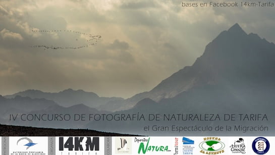 IV Concurso de Fotografía de Naturaleza de Tarifa, año 2016. El gran espectáculo de la Migración