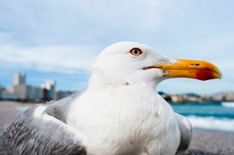 1er Premio Internacional de Fotografía VISIONS