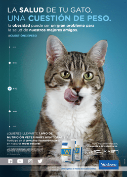 Concurso Fotográfico Cuestión de Peso