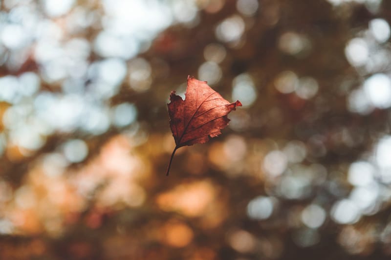 Los mejores concursos de fotografía de octubre 2018