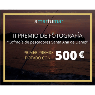 II Premio de Fotografía "amartumar"