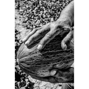 III Concurso de Fotografía “El melón en todos sus sentidos”