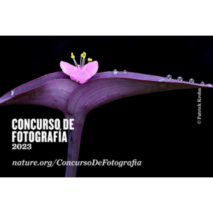 Concurso Mundial de Fotografía 2023 The Nature Conservancy